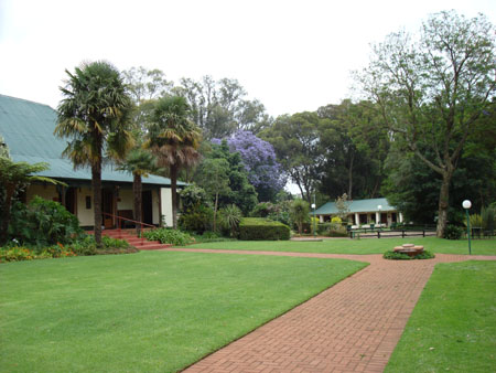 DSC00037